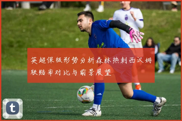 英超保级形势分析森林热刺西汉姆联赔率对比与前景展望